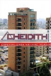 bairro chacara klabin cheidith imoveis apartamentos (194)